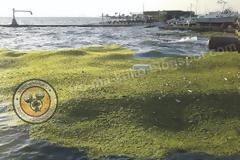 Φωτογραφίες αναγνώστη από τη Νέα Παραλία Θεσσαλονίκης