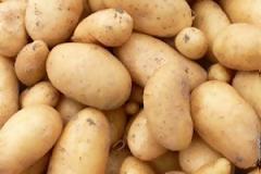 Έρευνα - σοκ: Tα λαχανικά Θηβών και Οινοφύτων σκοτώνουν!