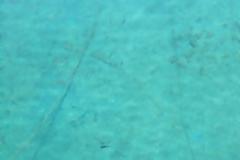 Καθαρίζουν τα νερά της Μαρίνας στην Πάτρα λόγω βιολογικού