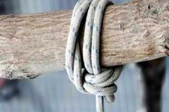 Φθιώτιδα: 48χρονοςς βρέθηκε κρεμασμένος μέσα στη στάνη του