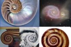 Η Χρυσή Τομή Φ