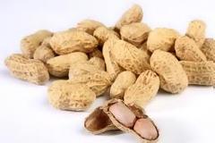 Κατασχέθηκαν 67 κιλά κρέατος και 19 τόνοι φιστικιών