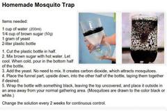 Φτιάξτε παγίδα για κουνούπια, απλά και φθηνά...