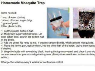 Φωτογραφία για Φτιάξτε παγίδα για κουνούπια, απλά και φθηνά...