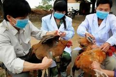 Κι άλλο θύμα από τη νέα γρίπη των πτηνών στη Κίνα