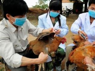 Φωτογραφία για Κι άλλο θύμα από τη νέα γρίπη των πτηνών στη Κίνα