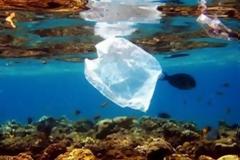 Μέτρα πρόληψης ρύπανσης ακτών του νομού Θεσσαλονίκης