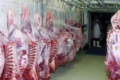 Αντέχει στην κρίση ο κλάδος χονδρικού εμπορίου κρέατος