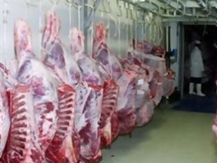 Φωτογραφία για Αντέχει στην κρίση ο κλάδος χονδρικού εμπορίου κρέατος