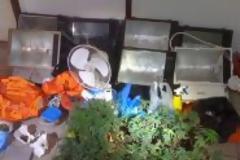 «Καθηγητής» υδροπονικής καλλιέργειας χασίς στην Ανδρούσα