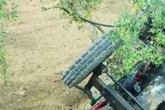 Τώρα – Τρακτέρ καταπλάκωσε πατέρα και ανήλικο γιο