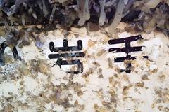 Στην Καλιφόρνια απομεινάρι από το τσουνάμι της Ιαπωνίας