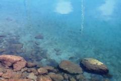 Πάτρα: Καθαρίζουν τα νερά της Μαρίνας - Βλέπεις για πρώτη φορά βυθό μετά απο δεκαετίες! - Τα ...απίστευτα ευρήματα που αποκαλύφθηκαν