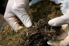 Κέρκυρα: Το χασίς τον έστειλε στο κρατητήριο