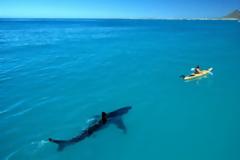 Είμαστε αδιάφοροι ή το πήραμε απόφαση ότι είμαστε μελλοθάνατοι;