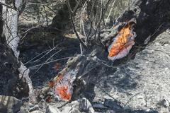 Φωτιά απείλησε σπίτια στη Βιάννο