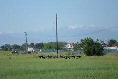 Το κυνοκομείο στα Τρίκαλα και η λάθος τοποθεσία