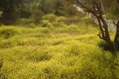 Συναγερμός στην ορεινή Ηλεία καθώς οι κάτοικοι χάνουν τις ιδιοκτησίες τους