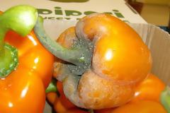 Καταγγελία για πιπεριές (﻿θερμοκήπια Δράμας Α.Ε.)