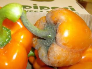 Φωτογραφία για Καταγγελία για πιπεριές (﻿θερμοκήπια Δράμας Α.Ε.)