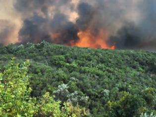 Φωτογραφία για Φθιώτιδα: Πυρκαγιά σε εξέλιξη στη Νεράιδα Στυλίδας