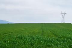 Επανέρχονται τα σενάρια για φορολόγηση αγροτεμαχίων των κατά κύριο επάγγελμα αγροτών