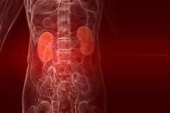 Υγεία: Διαβήτης - Μια σοβαρή απειλή για τα νεφρά