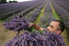 Στρέφονται στα αρωματικά φυτά οι αγρότες στην Αιτωλ/νία