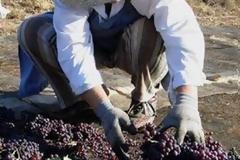 Θα επιστρέψουμε 124 εκατομμύρια ευρώ στην Ευρώπη εξαιτίας 