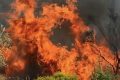 Αχαΐα: Πυρκαγιά στα Νιφορέικα