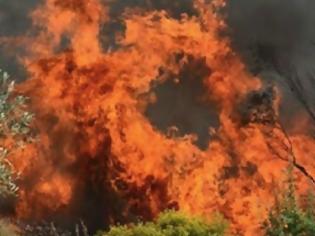 Φωτογραφία για Αχαΐα: Πυρκαγιά στα Νιφορέικα