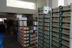 «Ανάσταση» για 600 οικογένειες - Διανομή τροφίμων από την Περιφέρεια Κρήτης