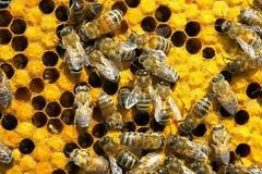 Μήνυμα αναγνώστη: Αγρότη πρόσεχε λίγο και εμας...