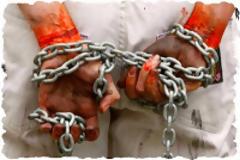 Τα αρπακτικά της ελευθεροτυπίας