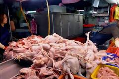 ΚΕΕΛΠΝΟ: Σε επιφυλακή για τη νέα γρίπη και συστάσεις σε Έλληνες που ταξίδεψαν πρόσφατα στην Κίνα