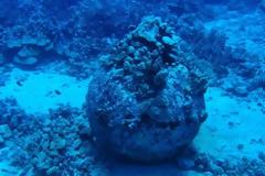 Αναστάτωση από... ξεχασμένη θαλάσσια νάρκη