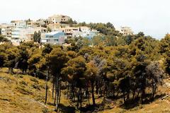 «Δεν υπάρχει απόφαση», λέει το ΠΑΣΟΚ για τα αυθαίρετα