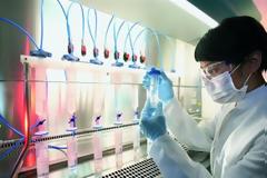 Υγεία: Μηχανισμός στον εγκέφαλο ελέγχει τη γήρανση