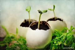 Greenpeace: 7 +1 συμβουλές για «πράσινο» Πάσχα!