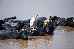 Μια απίθανη φωτογραφία...