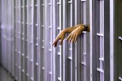 Δύο καταδικαστικές αποφάσεις για την Ελλάδα από το Δικαστήριο Ανθρωπίνων Δικαιωμάτων