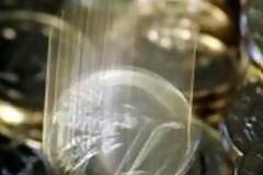 Κερδισμένοι οι βορειοευρωπαίοι