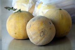 Ισπανοί κατάσχεσαν 32 τόννους χασίς σε φορτηγό με πεπόνια από το Μαρόκο