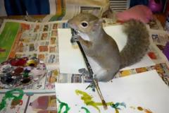 Ένας σκίουρος… ζωγράφος!