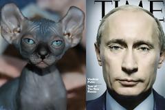 Ποιός Ρώσος ηγέτης μοιάζει με φαλακρή γάτα;