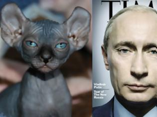 Φωτογραφία για Ποιός Ρώσος ηγέτης μοιάζει με φαλακρή γάτα;