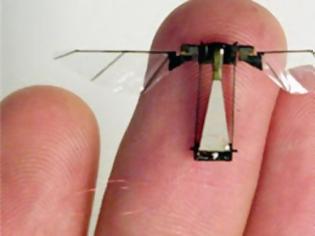 Φωτογραφία για Επιστήμονες κατασκεύασαν ρομπότ - μύγα