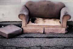 Φρίκη: Δείτε με τι ζούσε στον καναπέ του για μήνες....