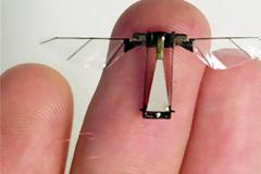 Ιπτάμενο ρομπότ σε μέγεθος μύγας από το Χάρβαρντ