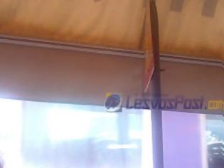 Φωτογραφία για Πινακίδα φύτρωσε μέσα σε κεντρική καφετέρια στην Μυτιλήνη